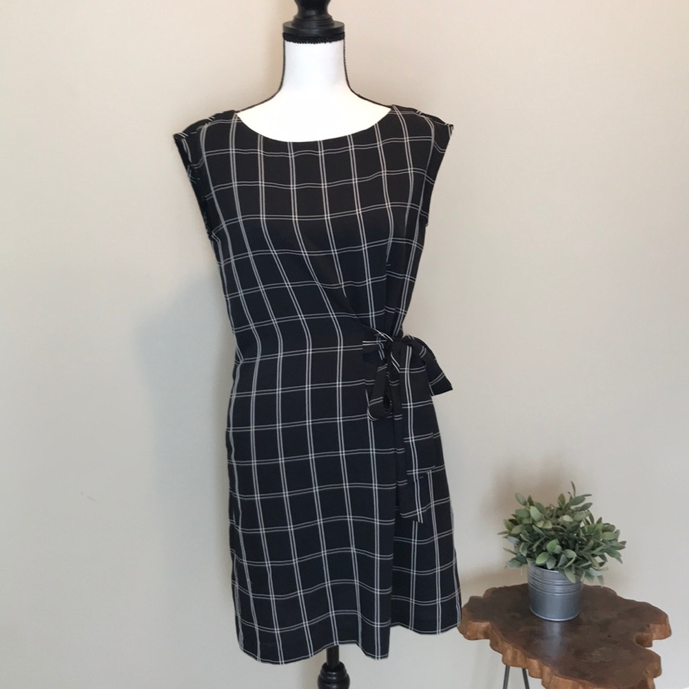 Loft Black and Cream Dress